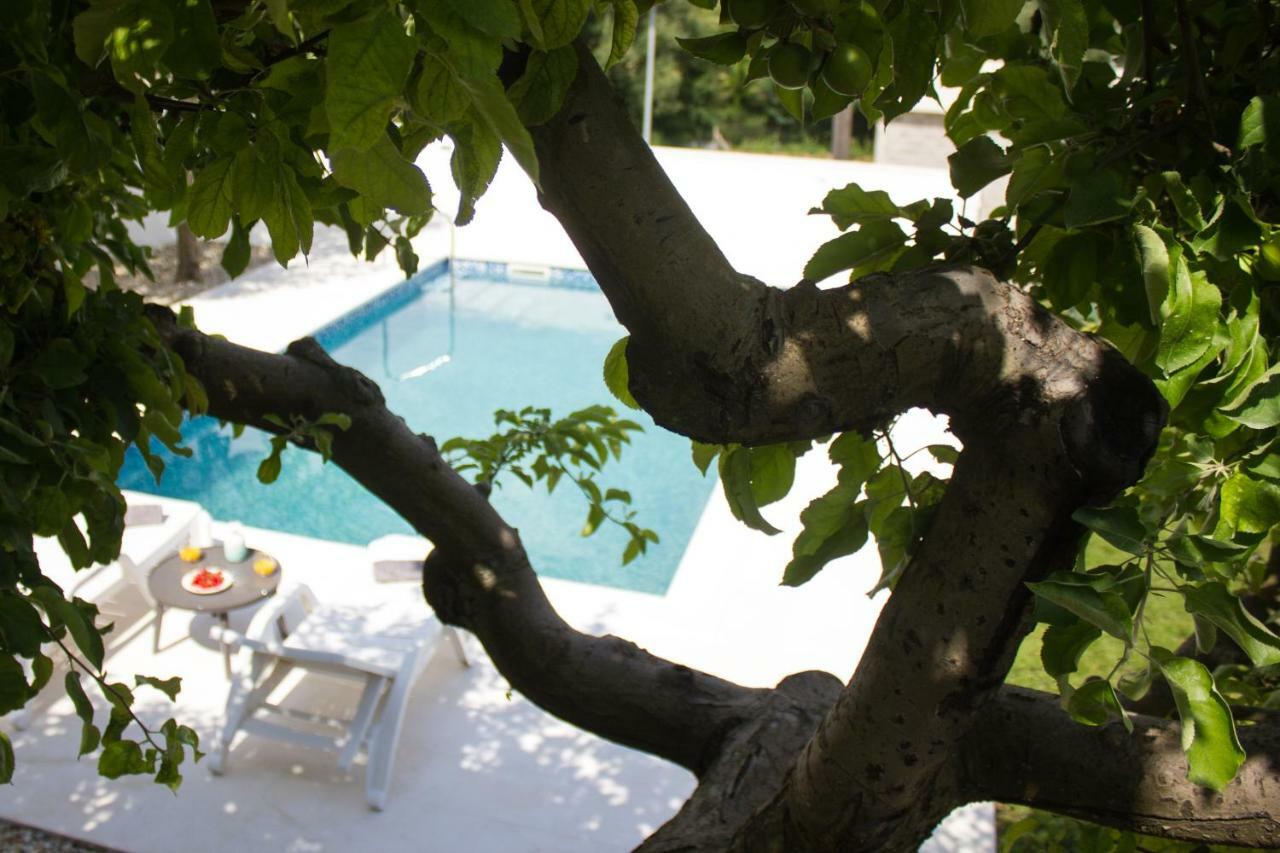 Villa Fig Zmijavci Exteriér fotografie